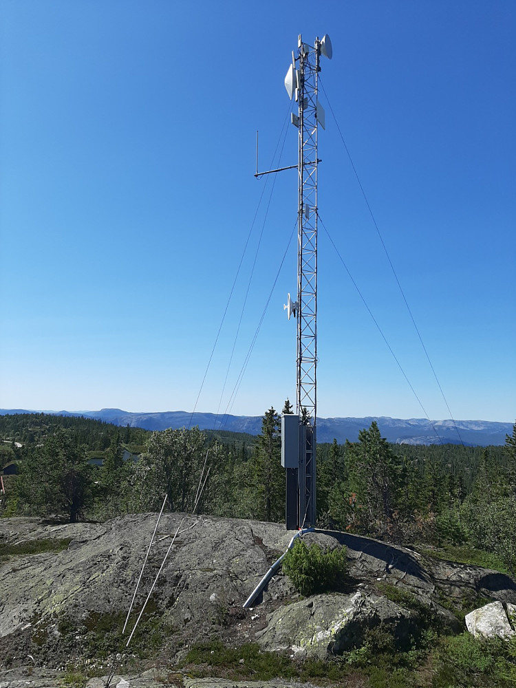 Masta på toppen.