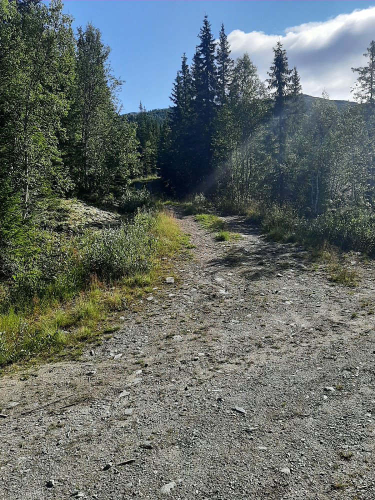 Her går grusveien over til traktorvei.