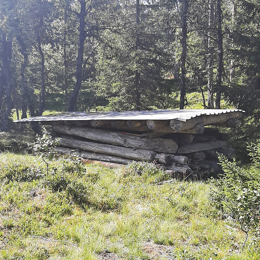 Her stopper traktorveien som jeg fulgte til endes (Nystøyl).