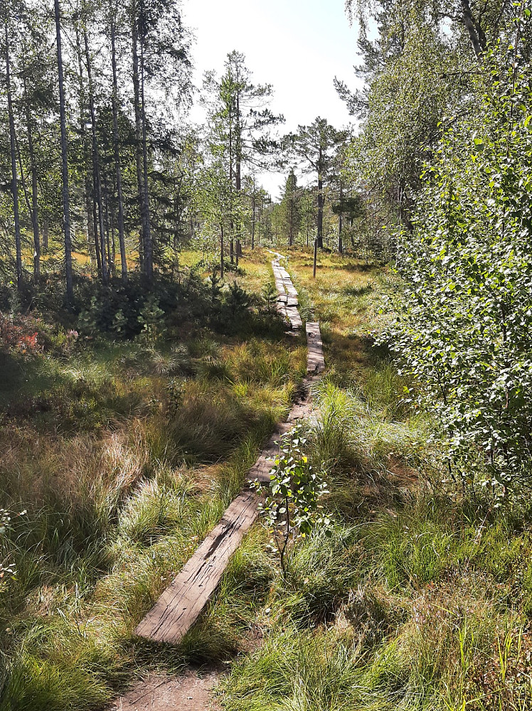 Starten av stien.