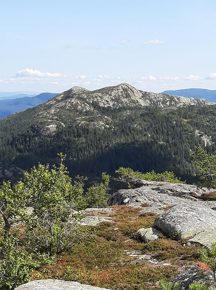 Utsikt mot Roholtfjellet.