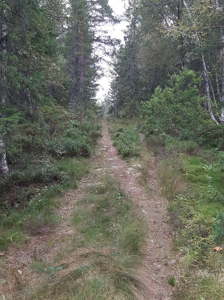 Her i begynnelsen av stistart.