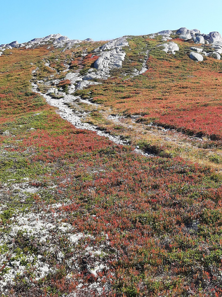 Fine farger i fjellet nå.