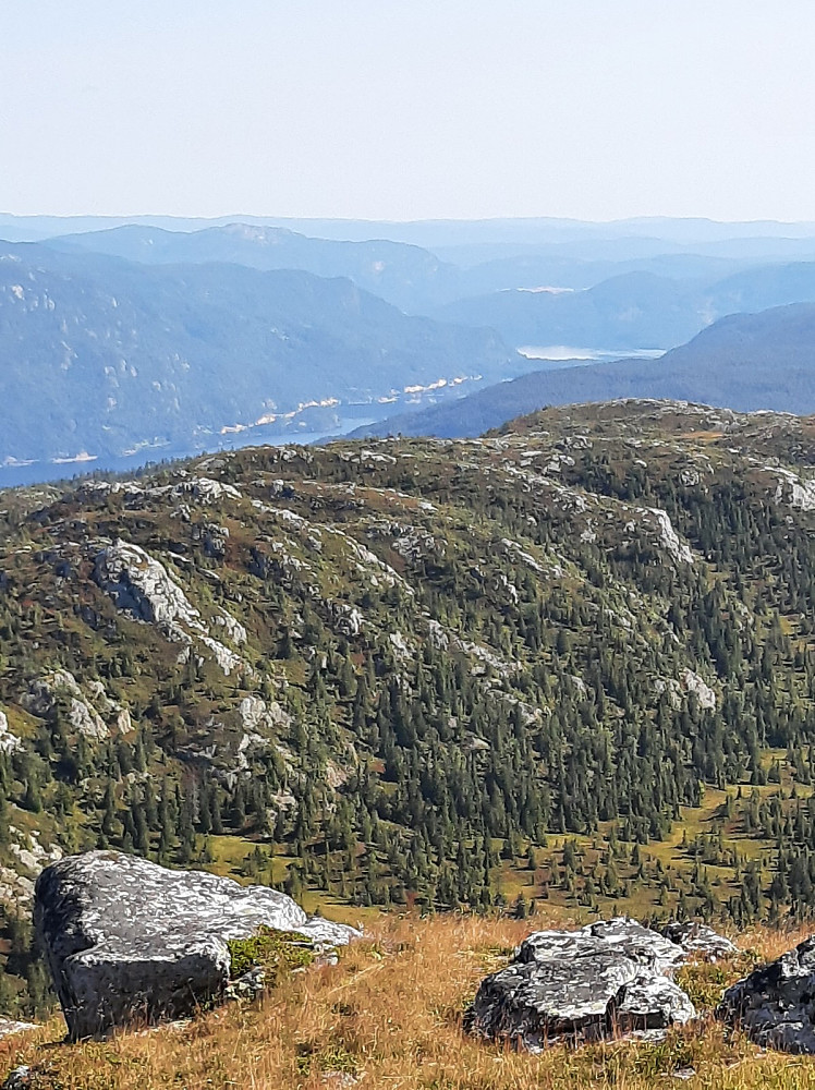 Utsikt ned mot Seljordvatnet.