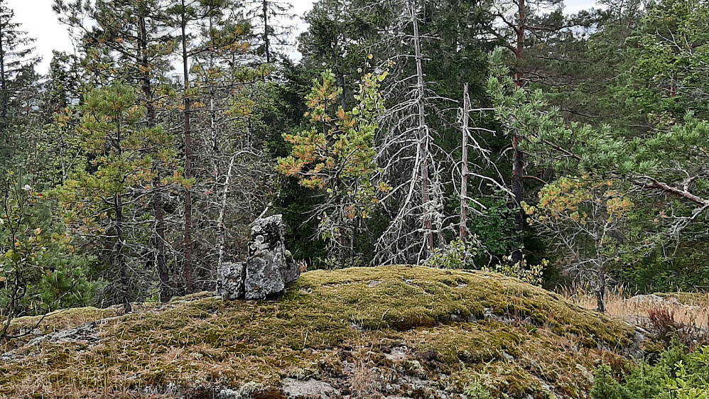 Varden på Bambleåsen
