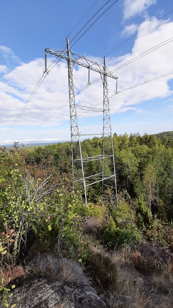 Monstermast
