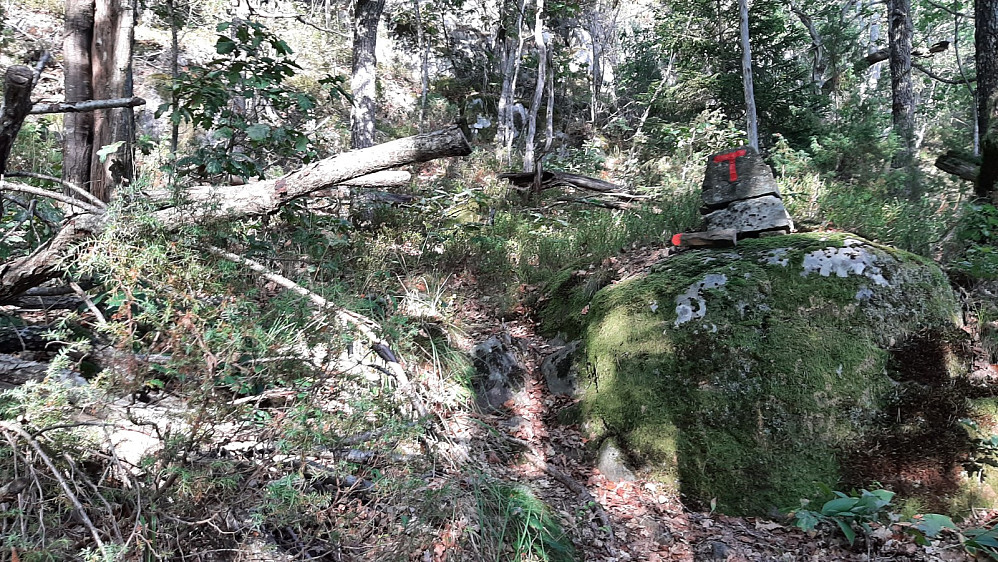 Rødmerket sti til toppen av Bambleåsen