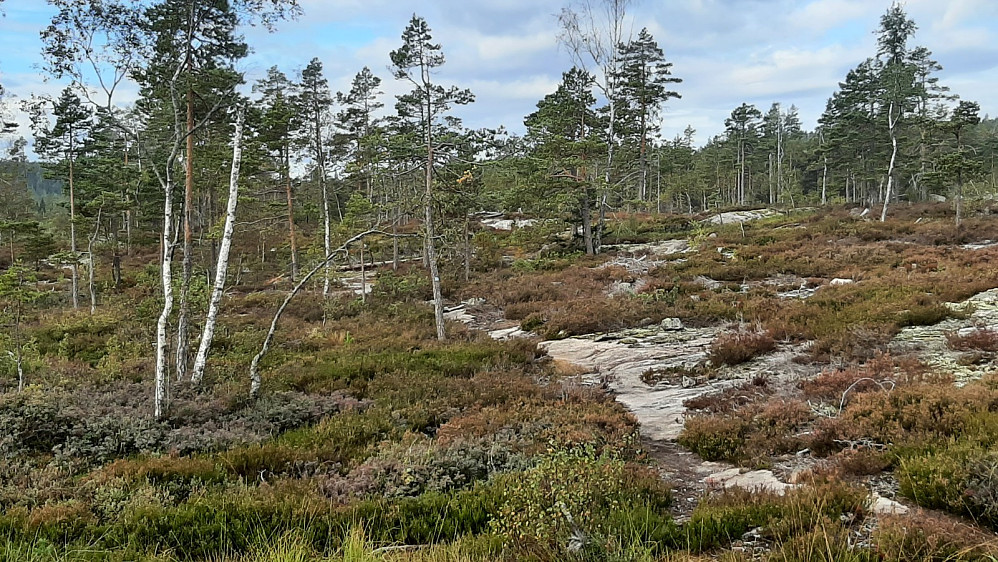 På toppen etter den første bratte kneika. Nå flater det ut videre innover.