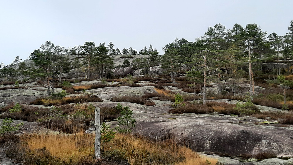 Toppen i sikte.