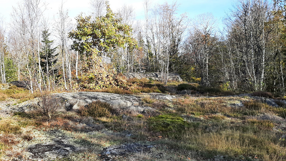 Toppområdet.