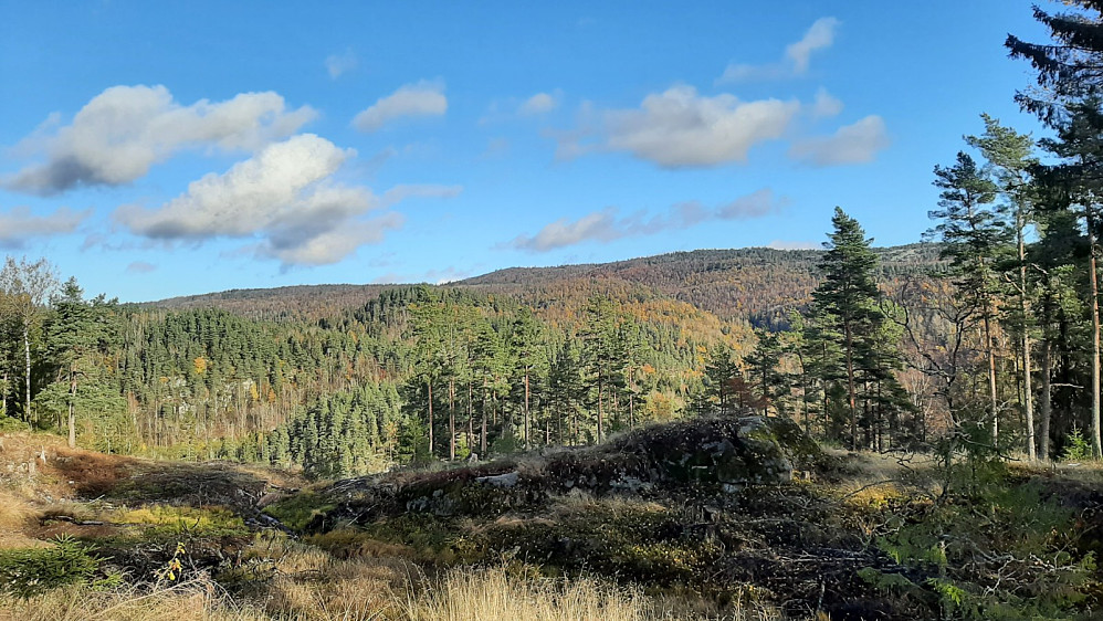 Utsikten.
