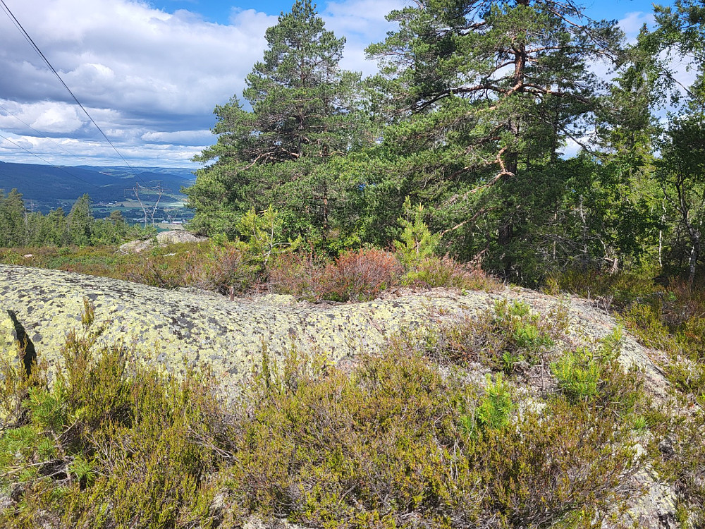 Bolt i fjell.