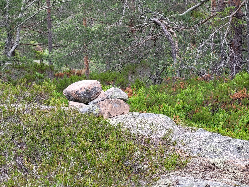 Toppen på Storås.