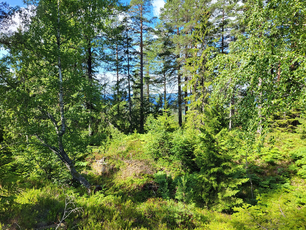 Utsikten fra toppunktet.