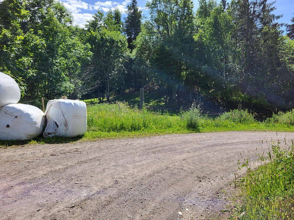 Turen opp startet ved å gå over gjerdet her og over beiteområdet.