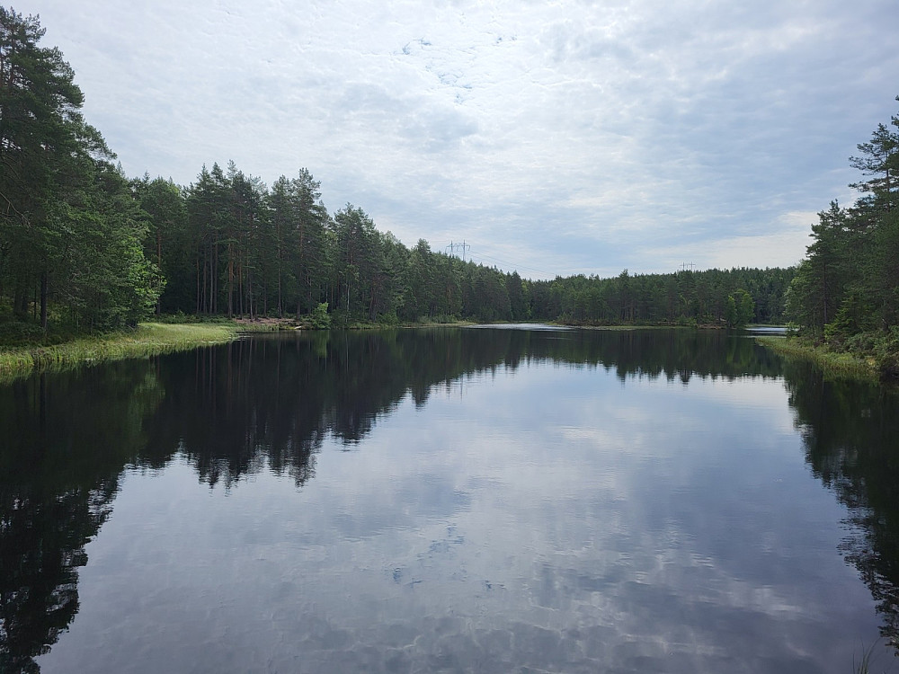Paddetjernet.