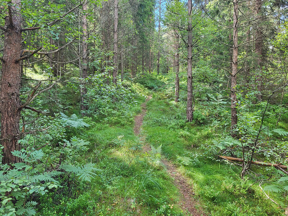 Stien opp til toppen