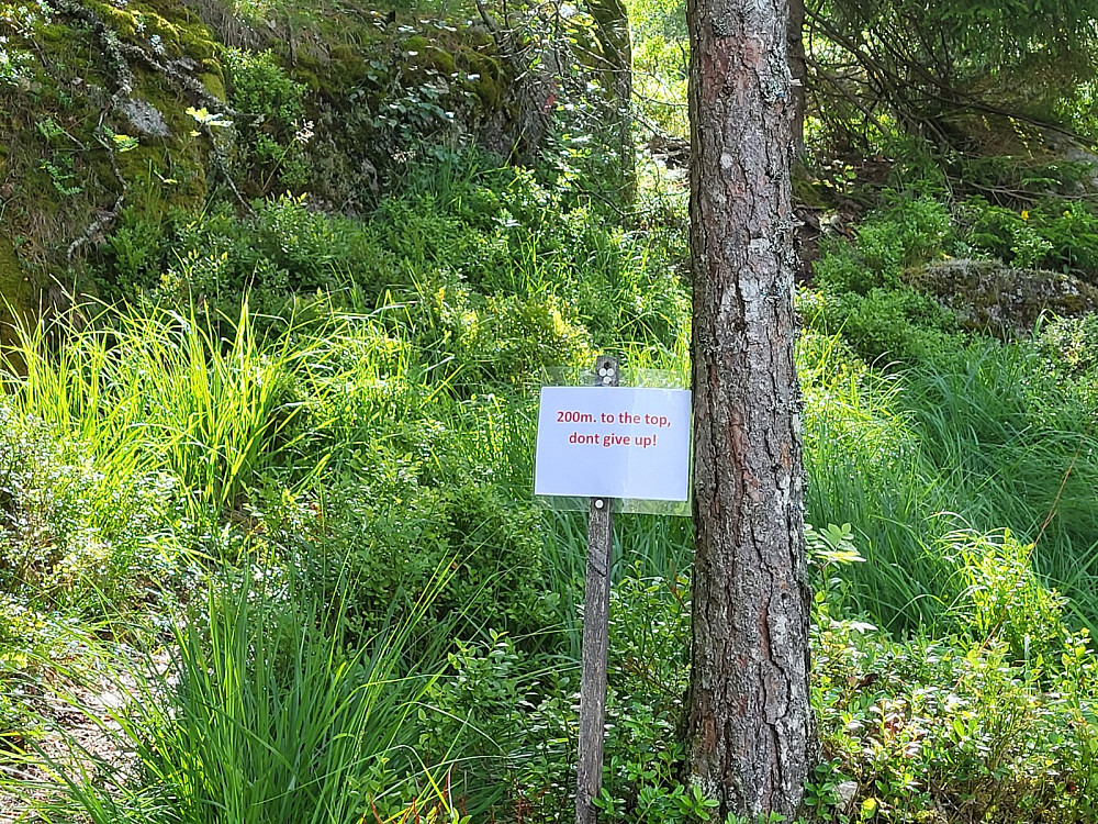 Ja, det er bare å gå på.