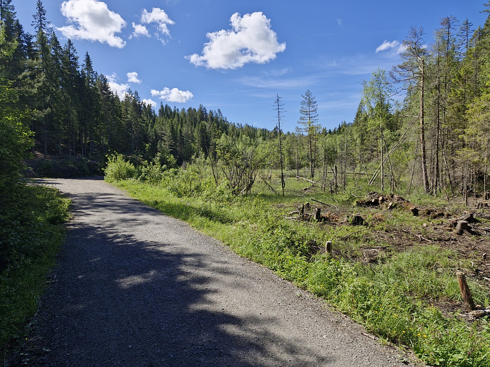 Starten på veien inn til Barlindåsen