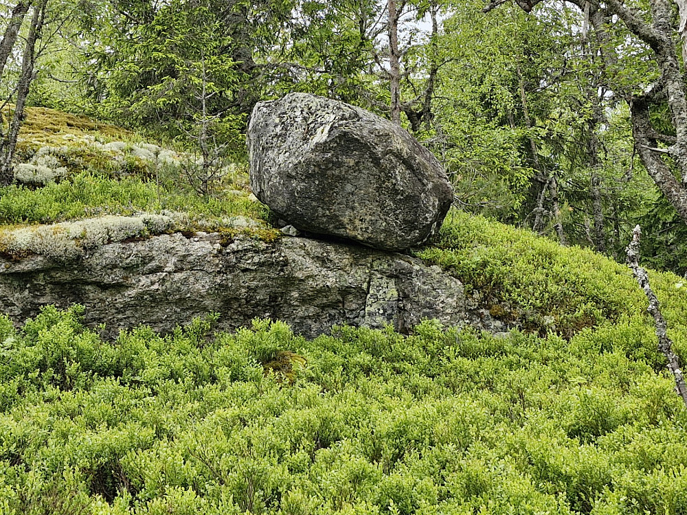 Toppunktet til venstre for steinen.