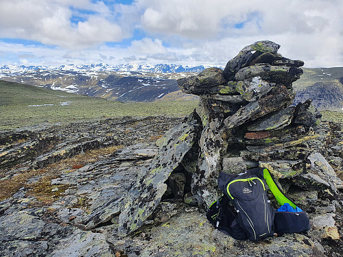 Skutshorn