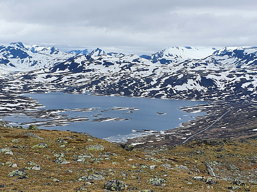 Tyin nord frå Skolten.