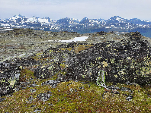 Frå Skenegge