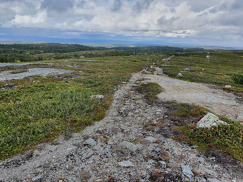 Skyrunning