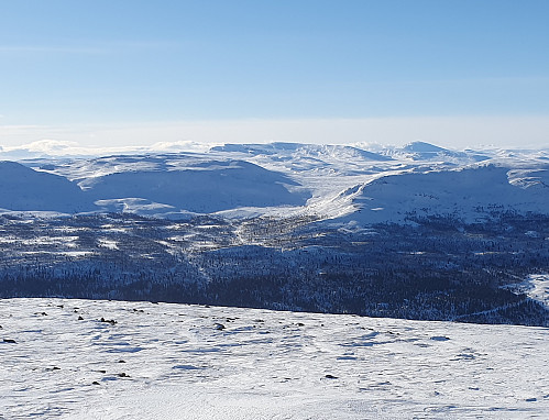 Skaget og Langsuene