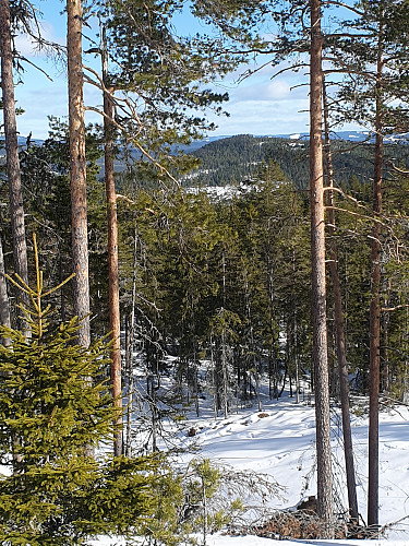 Nestemann, Vermundsberget
