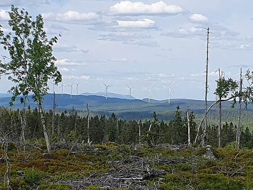 Vindmølleparken på Kjølberget i retning mot Trysiljellet