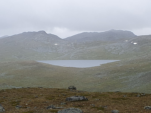 Regn også i Hundesteinen sitt rike