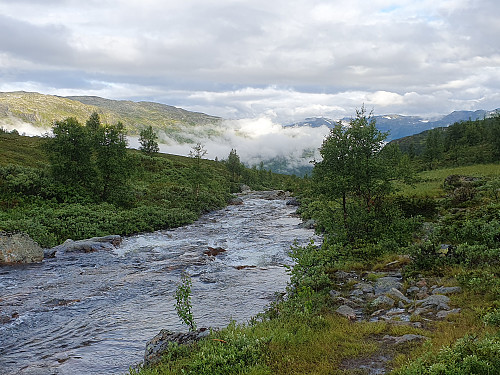 Langs Hølsteinåne