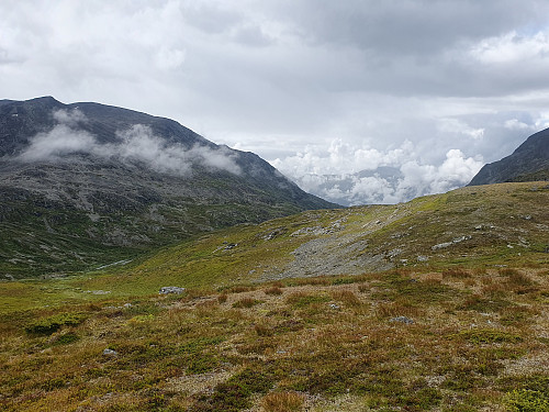 Trivelege Trøymsbotn