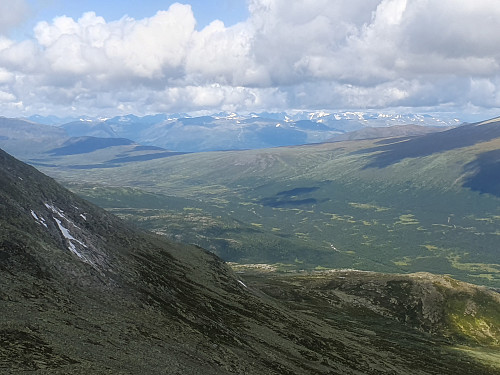 Frodigare i dalbotnen. Jotunheimen i bakgrunnen.
