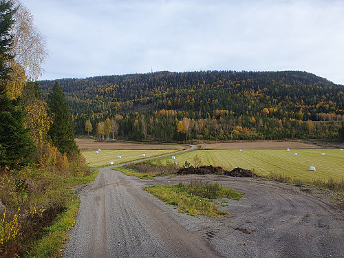 Hvittingen fra vest