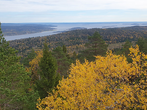 Tribuneplass over Oslofjorden