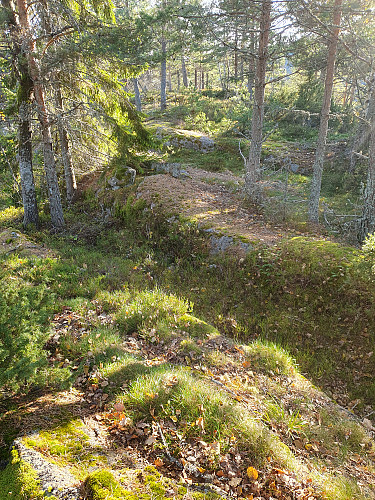 'Toppstemning' Bakkeåsen