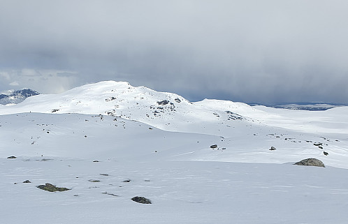 Kvit Såte, svarte byger