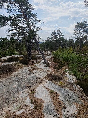 Røssefjella Vest