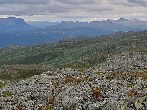 På Høgesyningen. Hemsedalsfjell frå Steinbunøse til Veslebotnskarvet.