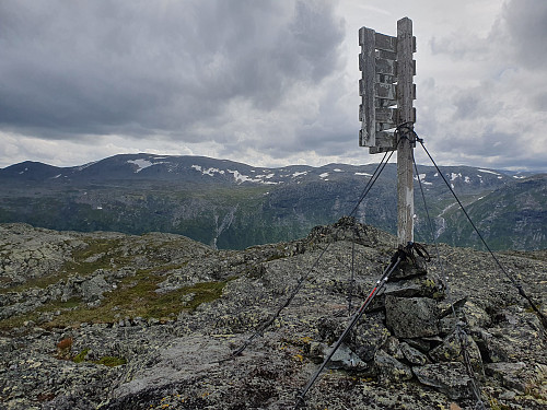 Bakkestølnøse