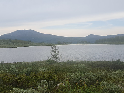 Skaget og Svarthammaren frå baksida