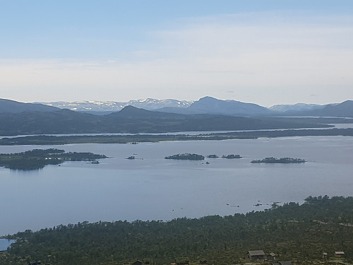 Bitihorn og Mugnatind er det næraste du kjem Jotunheimen i utsynet frå Knollan