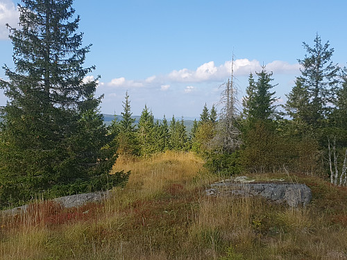 Høstfarger. Retning nord.