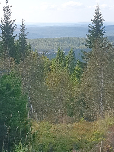 Värmlandske og Solørske blåner