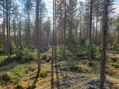 Smällsåsen. Lite minneverdig.