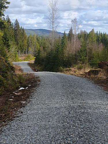 De Himmelska Bergen sett fra returen.