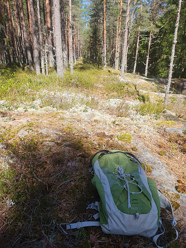 Hällefjället, Visustest: Finn bølten.