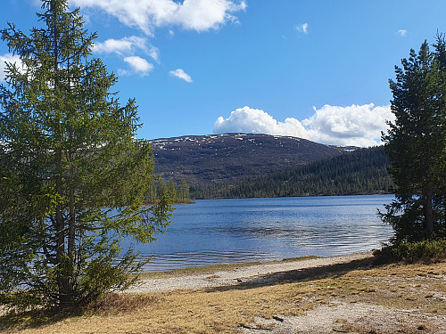 Gavlesjå Beach
